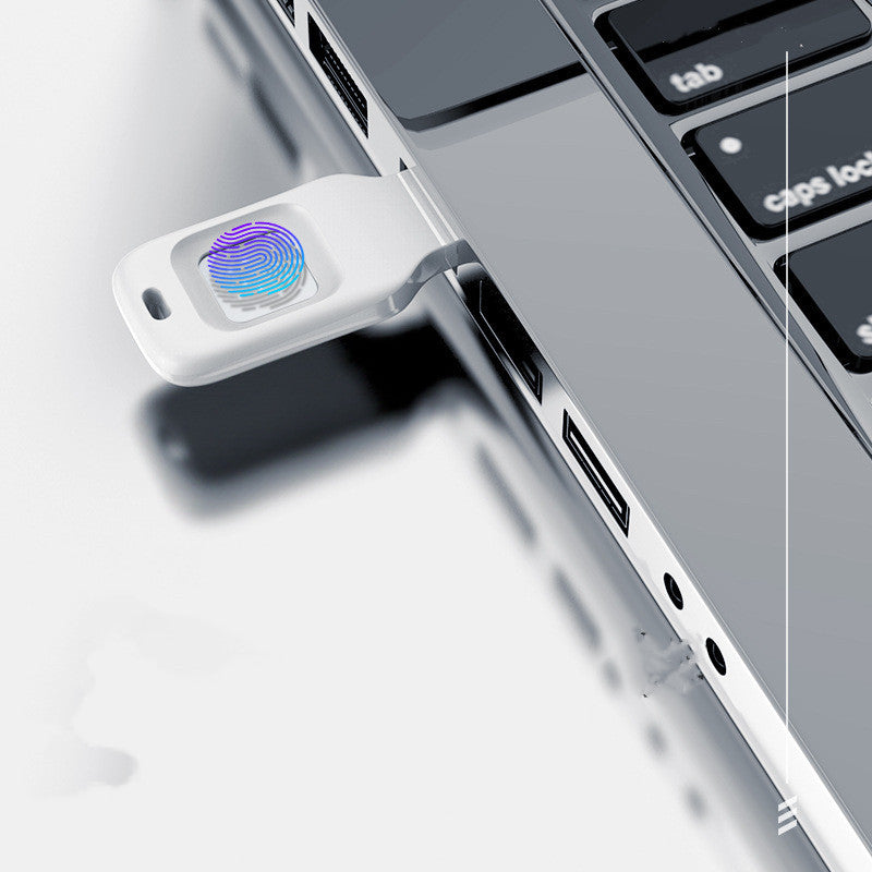 Fingerprint Input Into Encrypted U Disk 32 GB